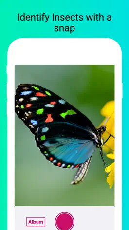 Game screenshot Insect Identifier - Scan Bugs mod apk