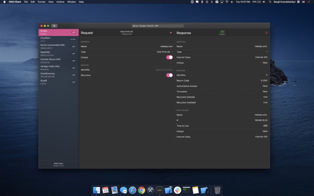 DNS Client