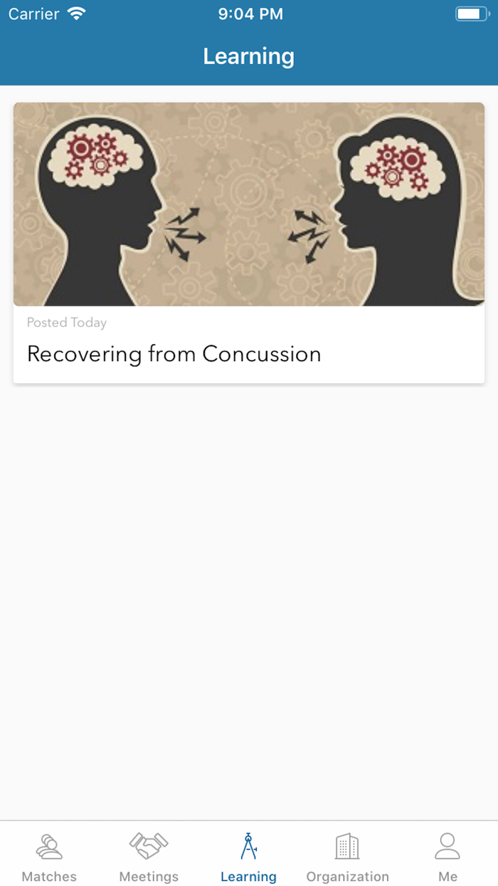 SUCCESS Concussion Mentoring