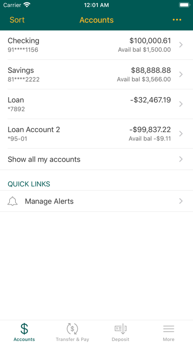 First National Bank of Nokomis Screenshot