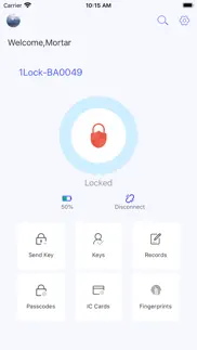 tinylock iphone screenshot 2