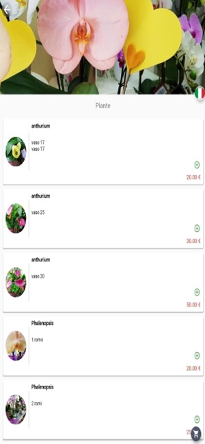 Floricoltura Ruggeri(圖3)-速報App