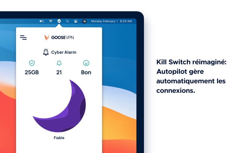 Screenshot #2 pour GOOSE VPN