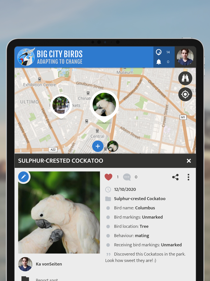 Big City Birds  SPOTTERON