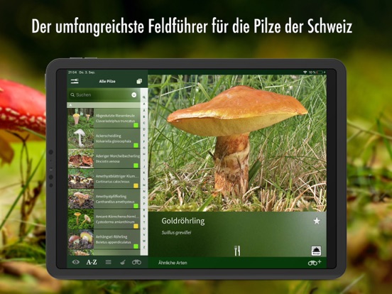 Screenshot #5 pour Pilzführer Schweiz – Pilze Pro