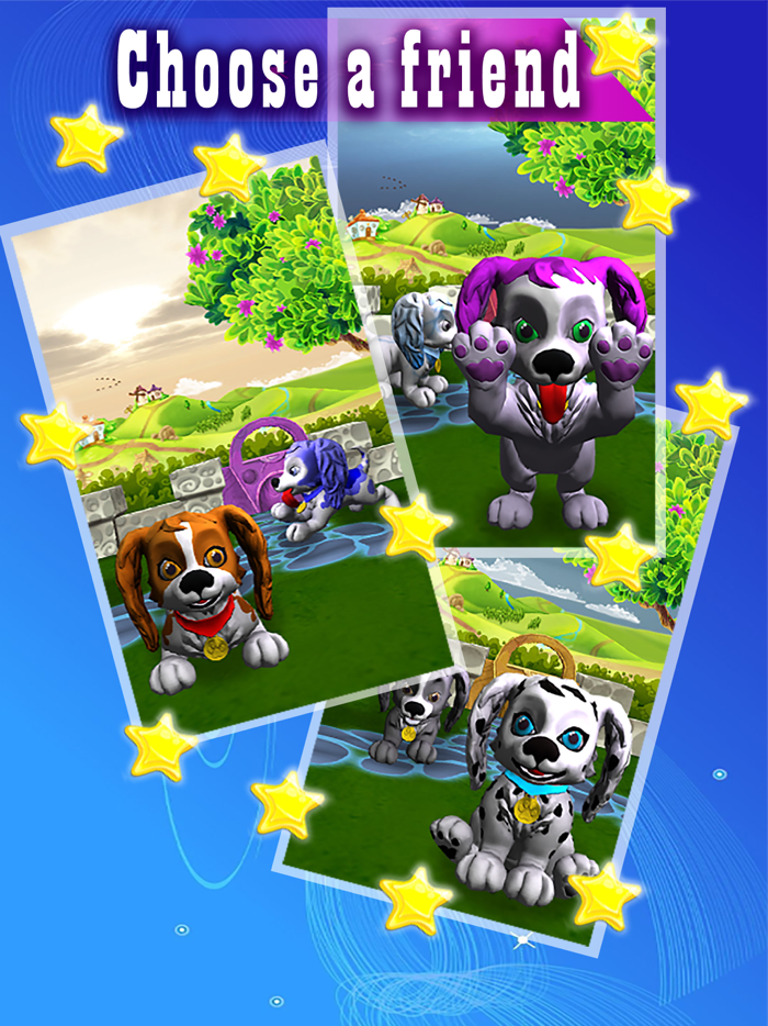 Cute Puppy My Little Dog