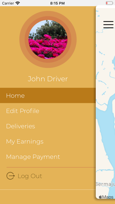 BYOU DELIVERY Screenshot