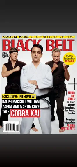 Game screenshot Black Belt Mag apk