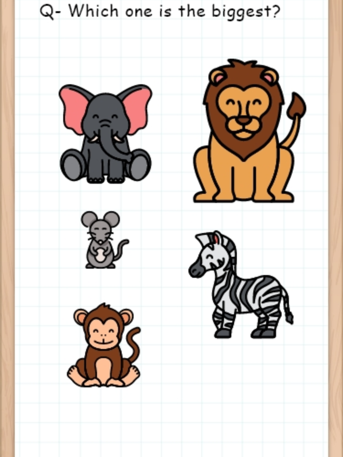 Brain Test Brainy Puzzles