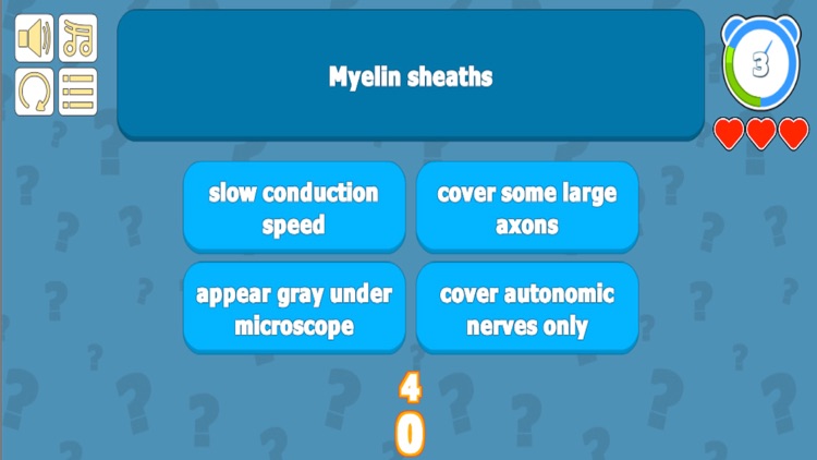 Urinary System Quiz - Anatomy