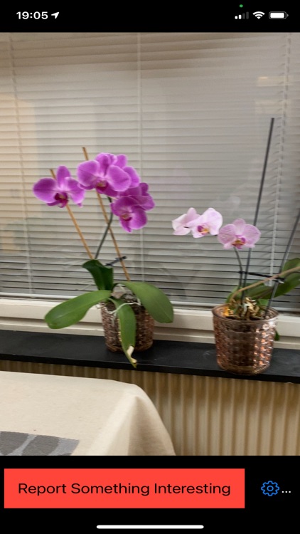 Rapportera något intressant screenshot-5