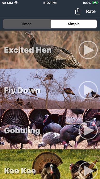 Wild Turkey Calls + screenshot-5