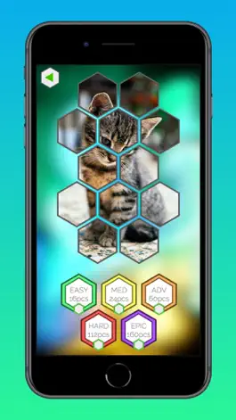 Game screenshot Relaxing Games Puzzle Cats HD apk