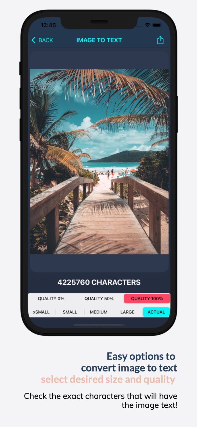 Image as Text – Script Reader