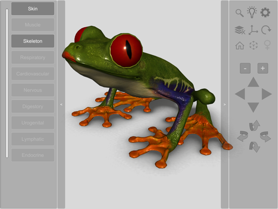 Screenshot #4 pour 3D Frog Skeleton