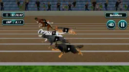 Game screenshot Dog Racing mod apk