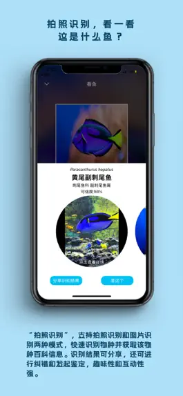 Game screenshot 看鱼 apk