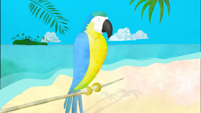 Animals and their environment