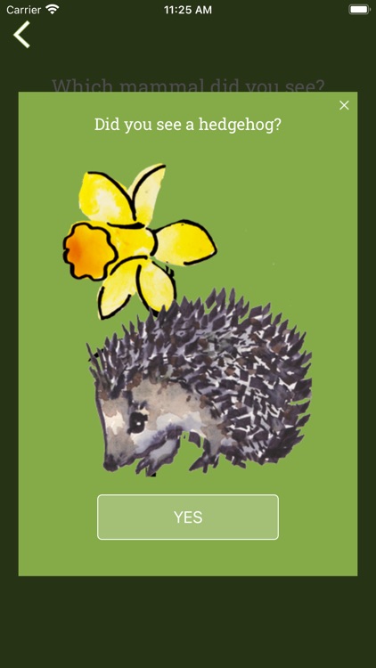 PTES Mammals on Roads screenshot-3