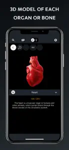 Human Body Atlas: 3D Medical screenshot #3 for iPhone