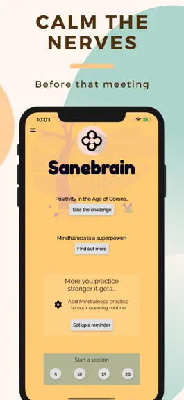 Game screenshot Sanebrain Pro - Strong Mindset hack