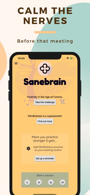 Sanebrain Pro - Strong Mindset by Redsprint Ltd