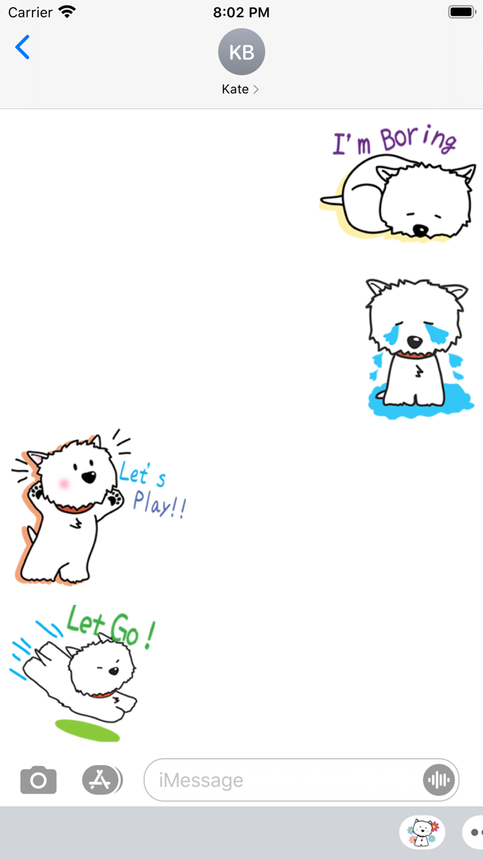 Cute Westie White Dogs