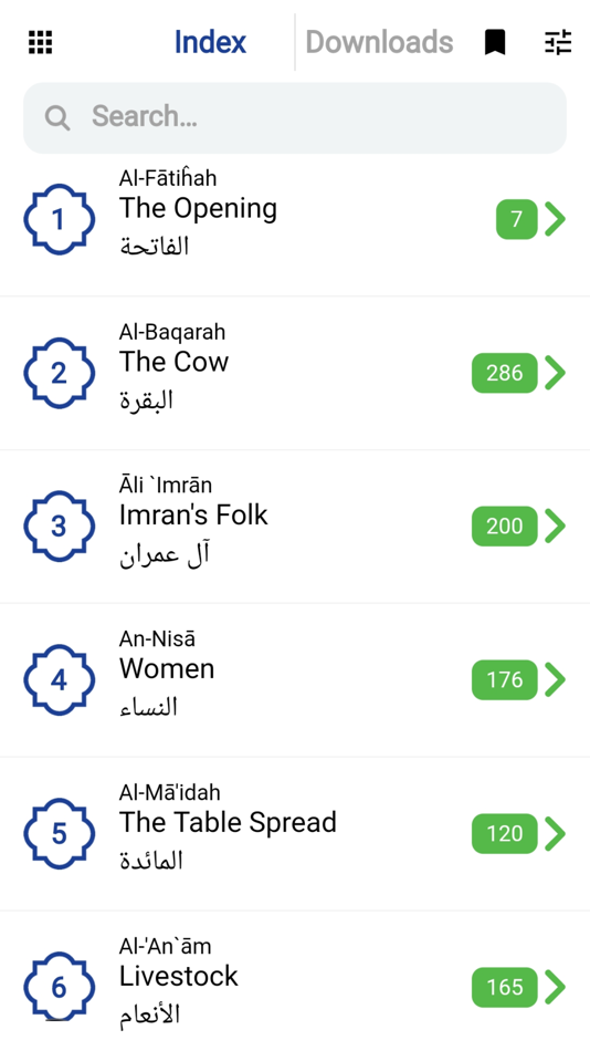 #2. Bridges’ Qur’an’s translation (iOS) 由: Fadel Soliman