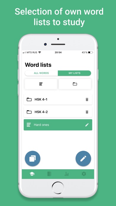 HSK BCT YCT Chinese Test Words Screenshot