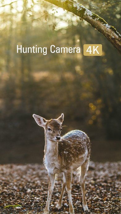 Screenshot #1 pour Hunting Camera 4K
