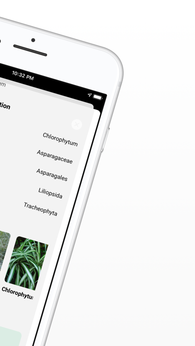 Plant ID - Identify Plants Screenshot