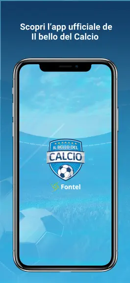 Game screenshot Il Bello del Calcio Official mod apk