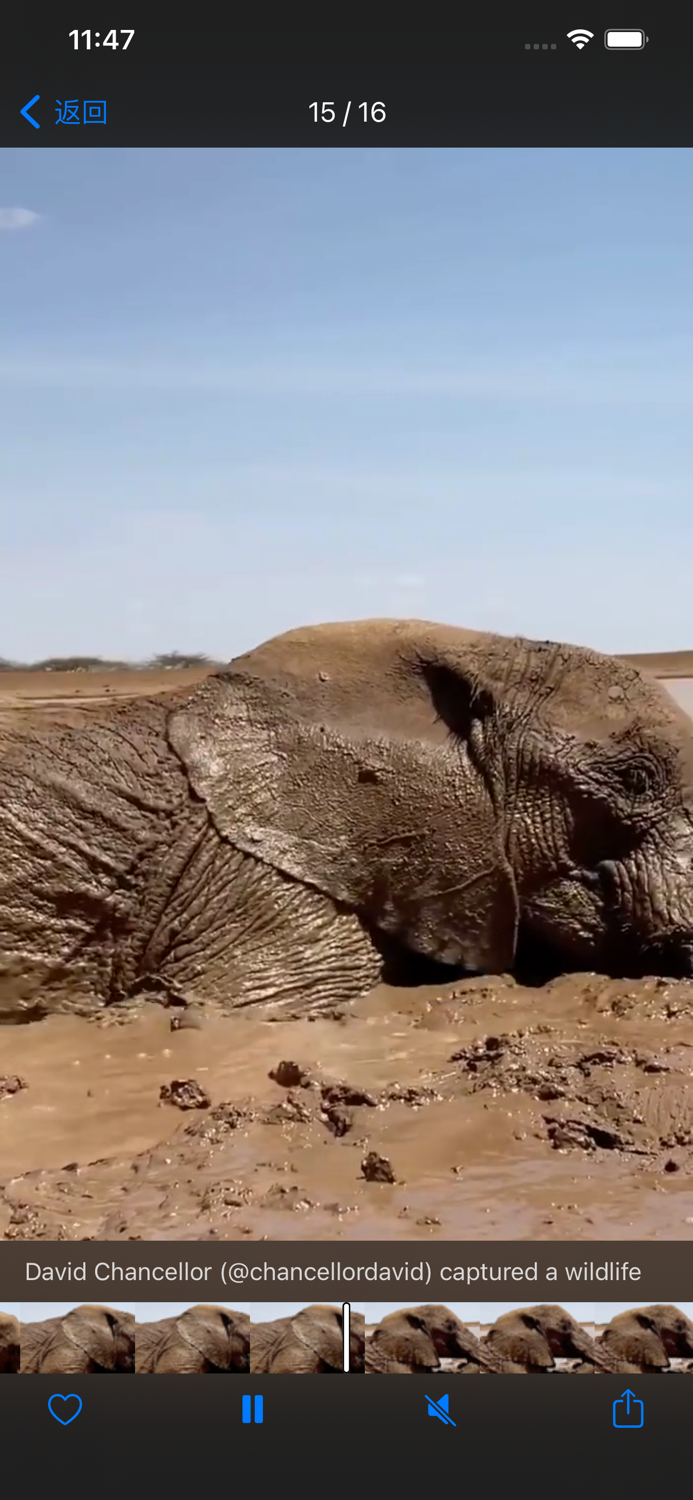 Flow - Media browser