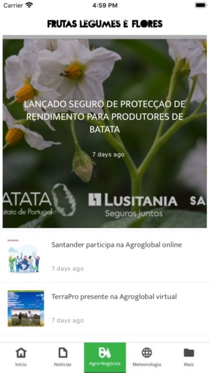 Frutas, Legumes e Flores screenshot-7
