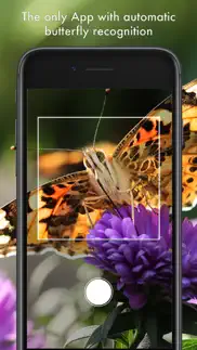 butterfly id - uk field guide iphone screenshot 2