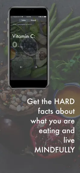 Game screenshot Dr. Foodie hack