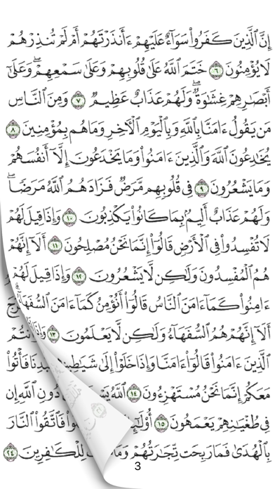 Daily Quran - Bulid a habitのおすすめ画像3