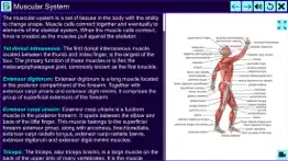 the amazing human system iphone screenshot 3