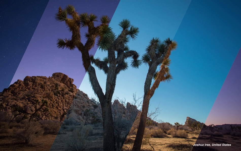 #9. Dynaper - Dynamic Wallpapers (macOS) 由: Marek Hrušovský