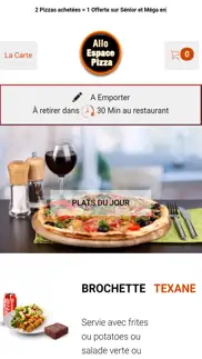 allo espace pizza problems & solutions and troubleshooting guide - 4