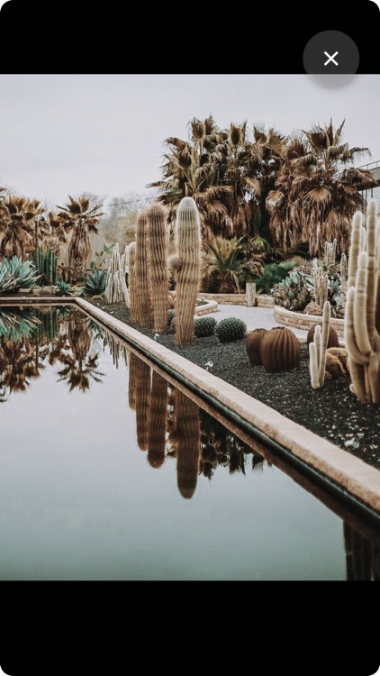 App Spotshot screenshot-4