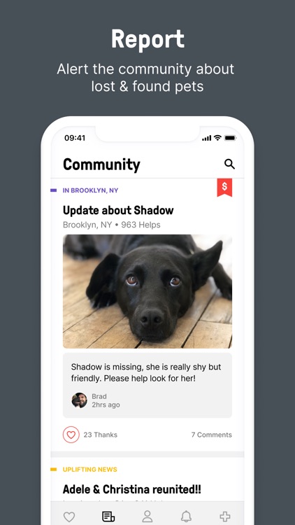 Shadow: Find a Lost Dog or Cat screenshot-0