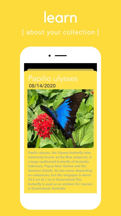 Butterfile screenshot-4