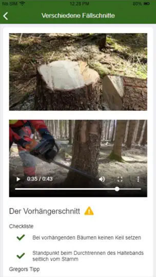 Screenshot von Motorsägenkurs auf dem iPhone 3