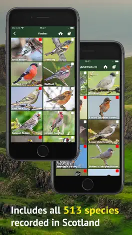 Game screenshot All Birds Scotland Photo Guide hack