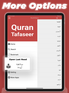 Quran Tafaseer in English screenshot 15