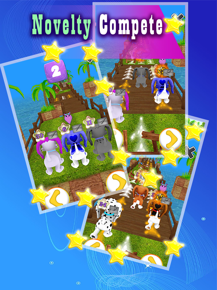 Cute Puppy My Little Dog