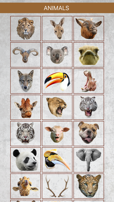 Animal Face Photo Booth Screenshot