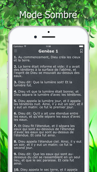 Screenshot #3 pour La Bible Traduction par Segond