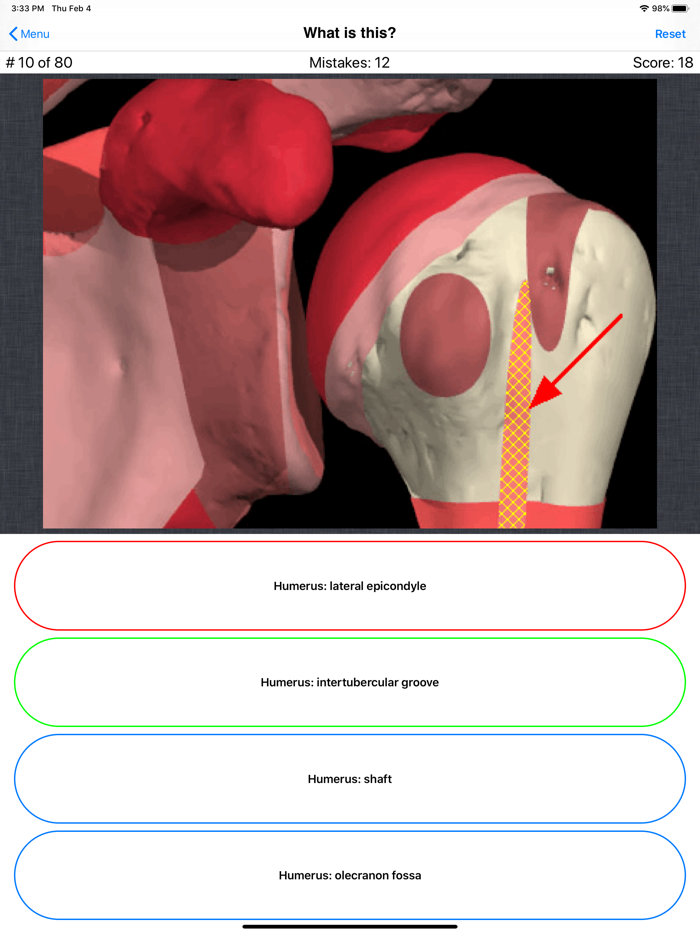 Anatomy Shoulder Quiz